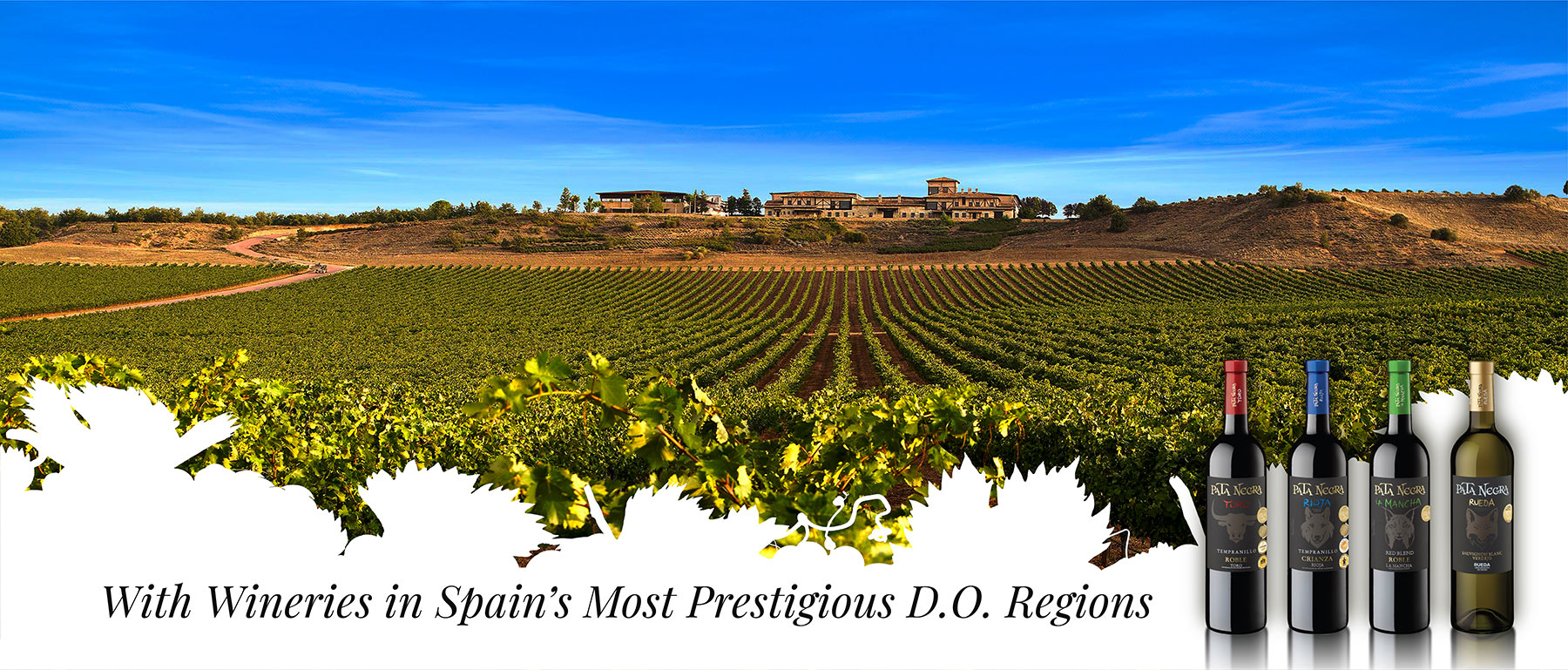 A scenic vineyard stretches toward a large winery building under a blue sky. Four bottles of wine are displayed in the foreground, with the text: With Wineries in Spain’s Most Prestigious D.O. Regions.