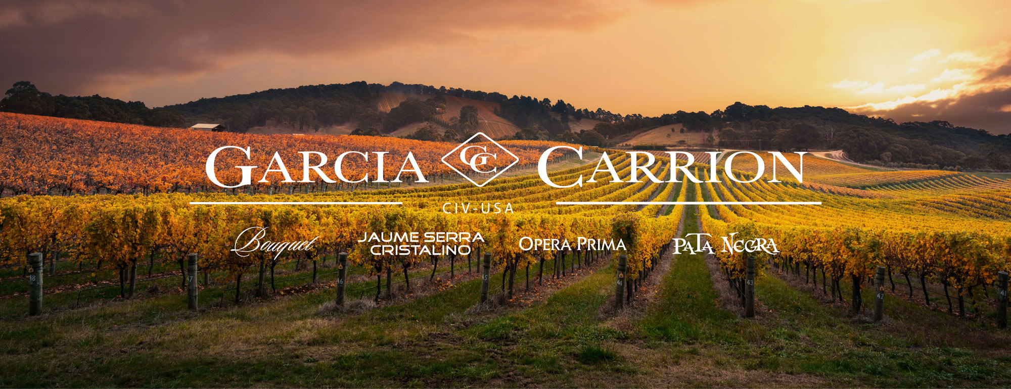 Vineyard landscape at sunset with rows of grapevines and rolling hills; overlay text reads Garcia Carrion with brand names: Baguari, Jaume Serra Cristalino, Opera Prima, and Pata Negra.